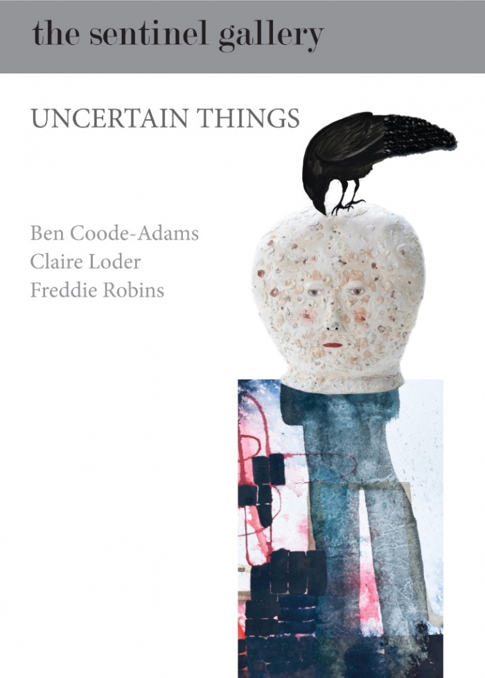 Uncertainthings1